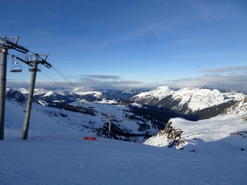 dsc074148dk7j.jpg