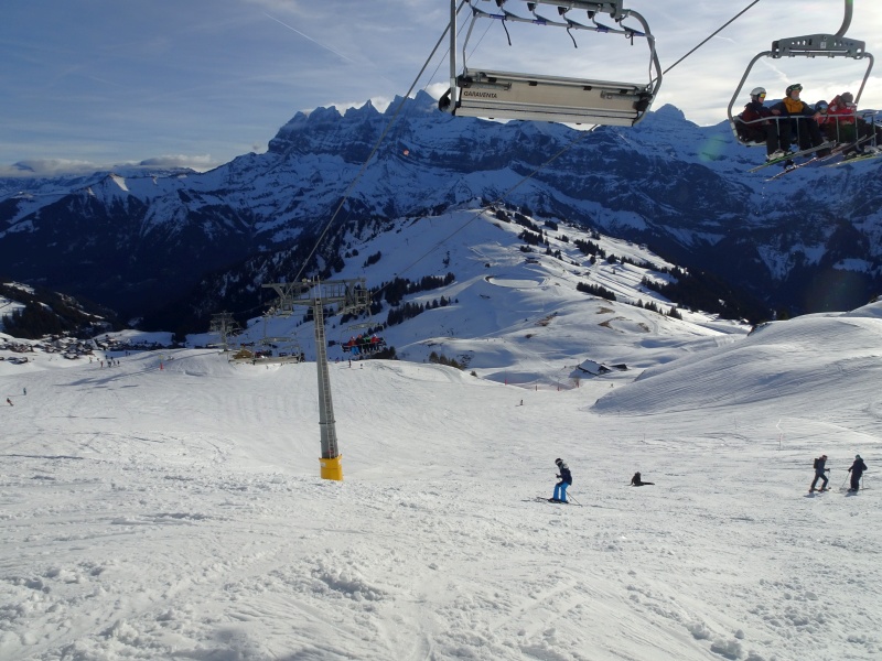 dsc07456zcja7.jpg