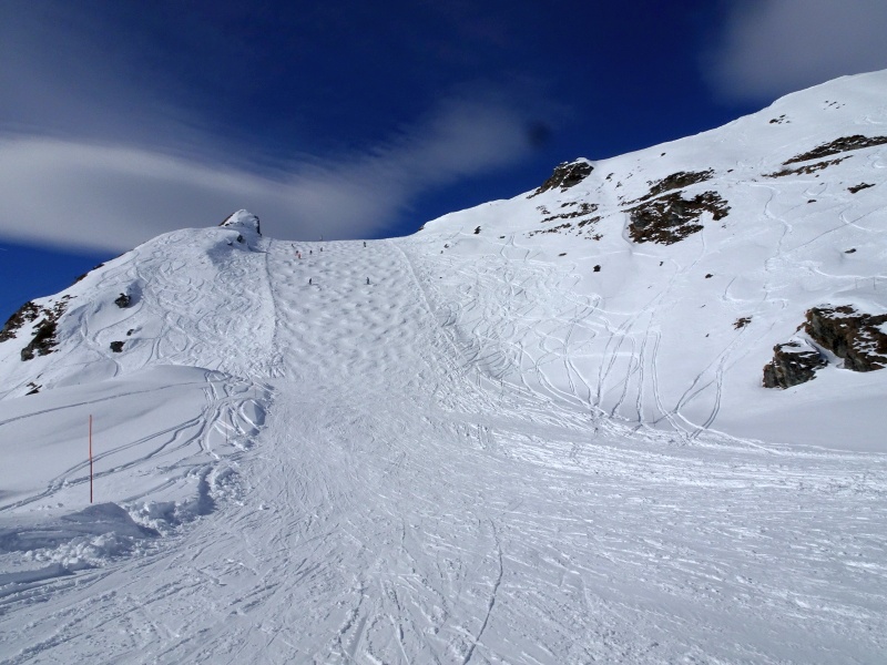 dsc07457erea1.jpg