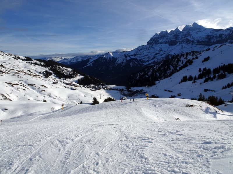 dsc07461nkkox.jpg