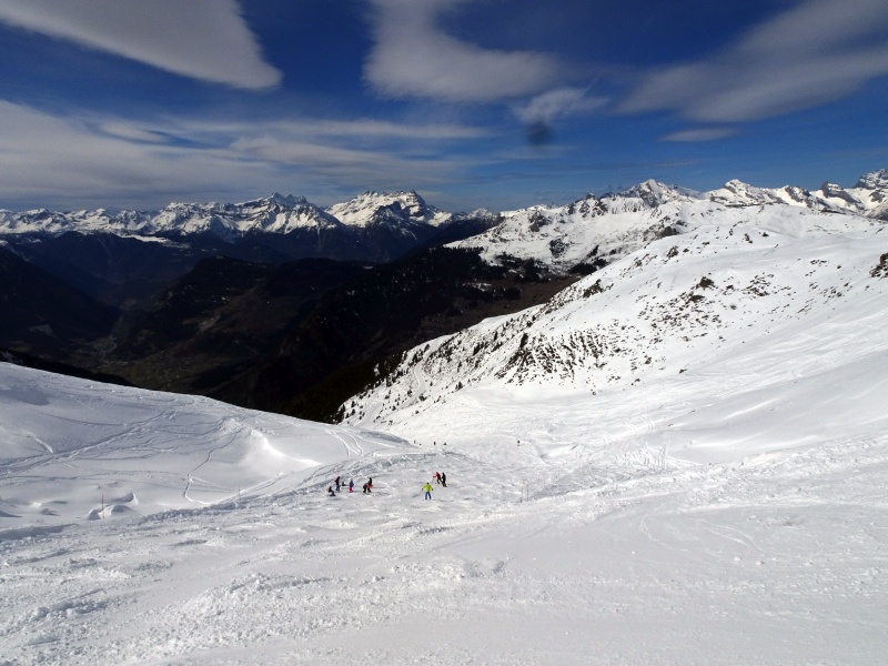 dsc074693gcqj.jpg
