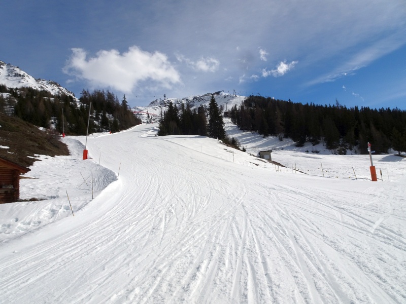 dsc07504nsfzd.jpg