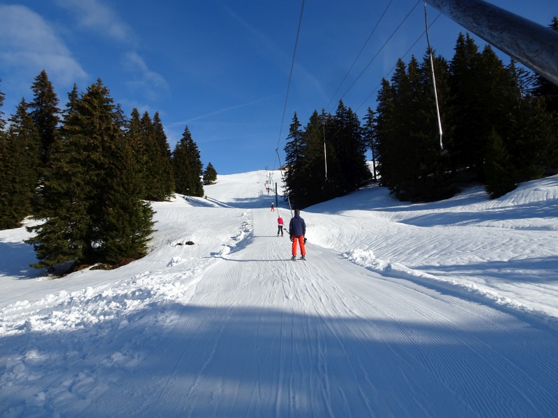 dsc07554cnju5.jpg