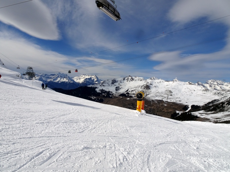 dsc07555cafz6.jpg