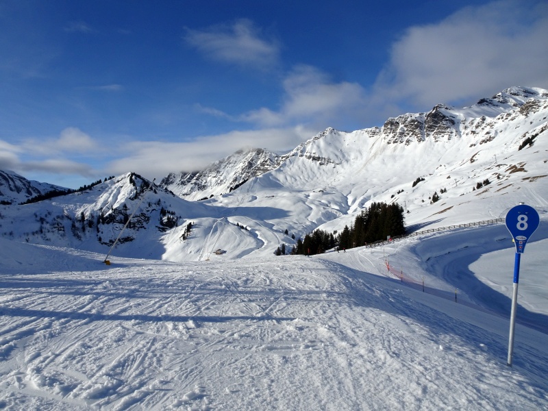 dsc075687xk0p.jpg