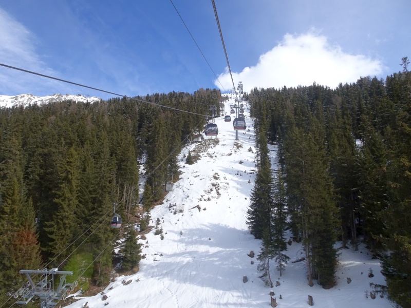 dsc07608ywcdl.jpg