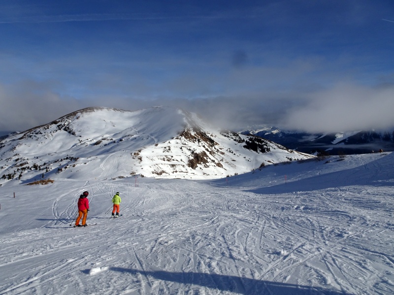 dsc07612wtjvq.jpg