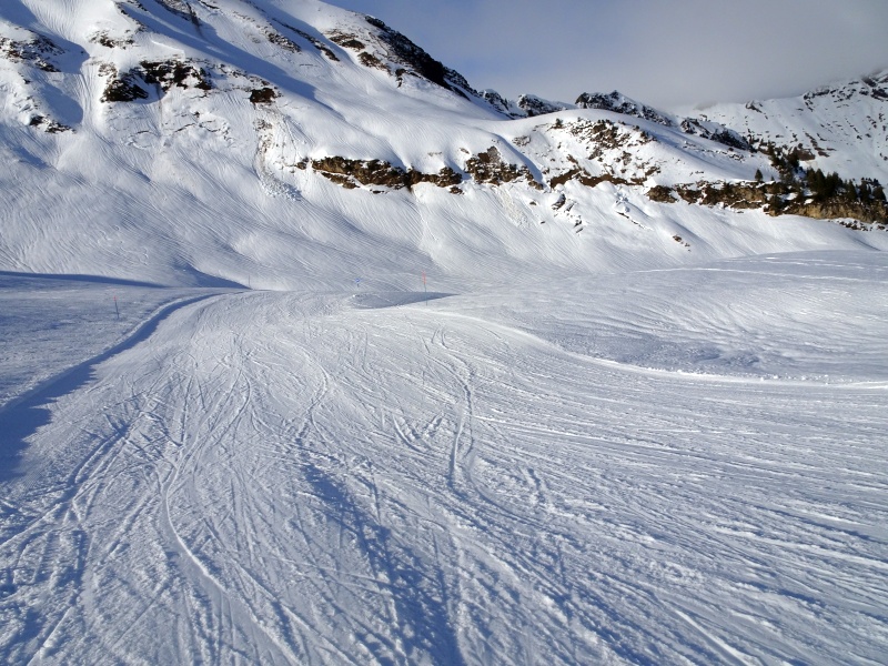 dsc07614a3jtu.jpg