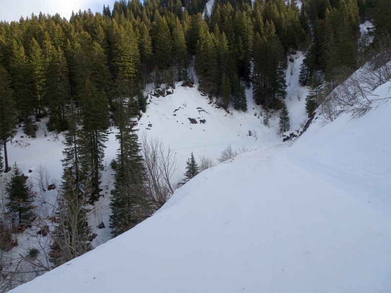 dsc07621jbj1c.jpg
