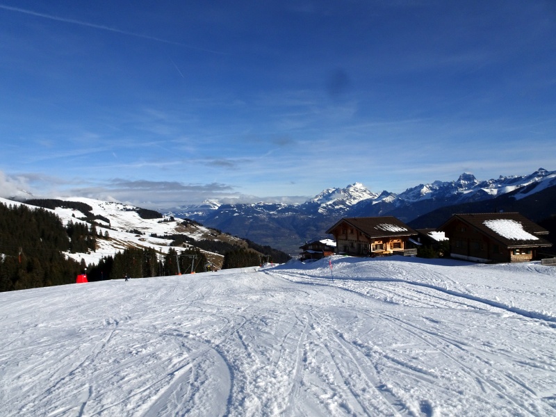 dsc076449pjnb.jpg