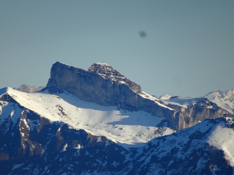 dsc07792ydjzp.jpg