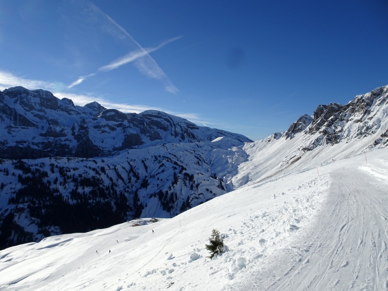 dsc078689gkkr.jpg