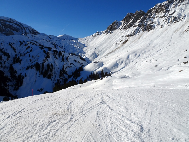 dsc07873znkp8.jpg