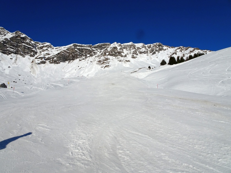 dsc078760vkgp.jpg