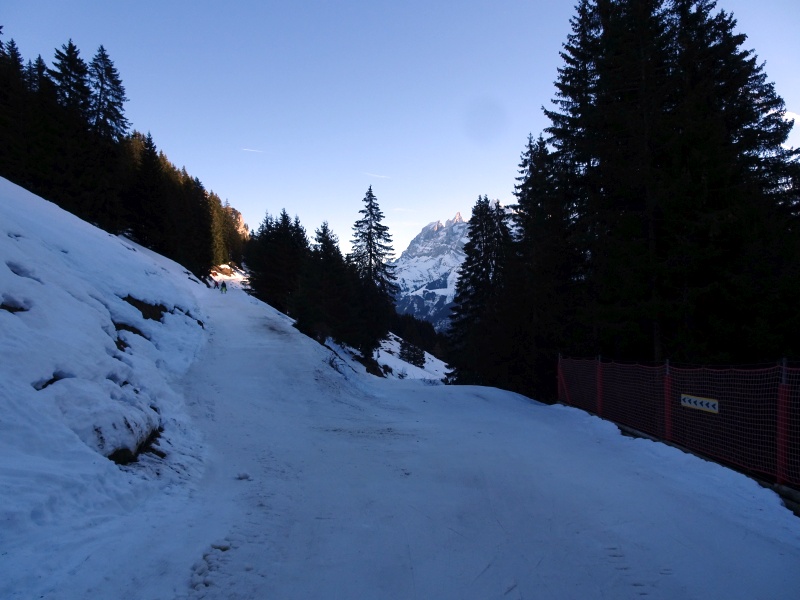 dsc07882h3j4n.jpg
