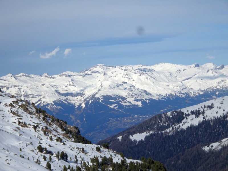 dsc07882rbcj3.jpg