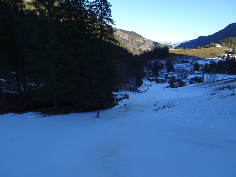 dsc07894v2j24.jpg