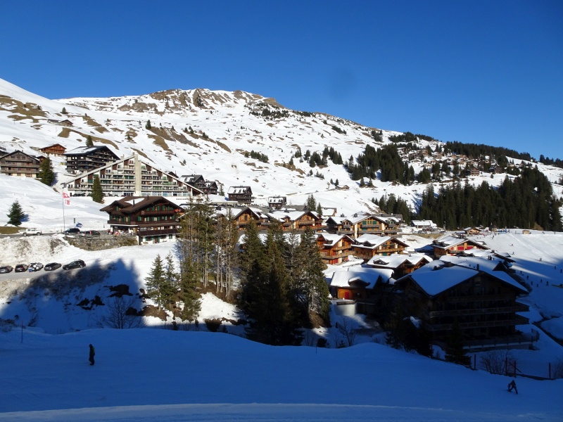 dsc07962jskqr.jpg