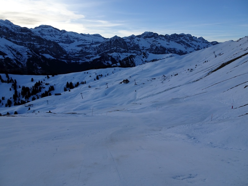 dsc07978dgkx8.jpg