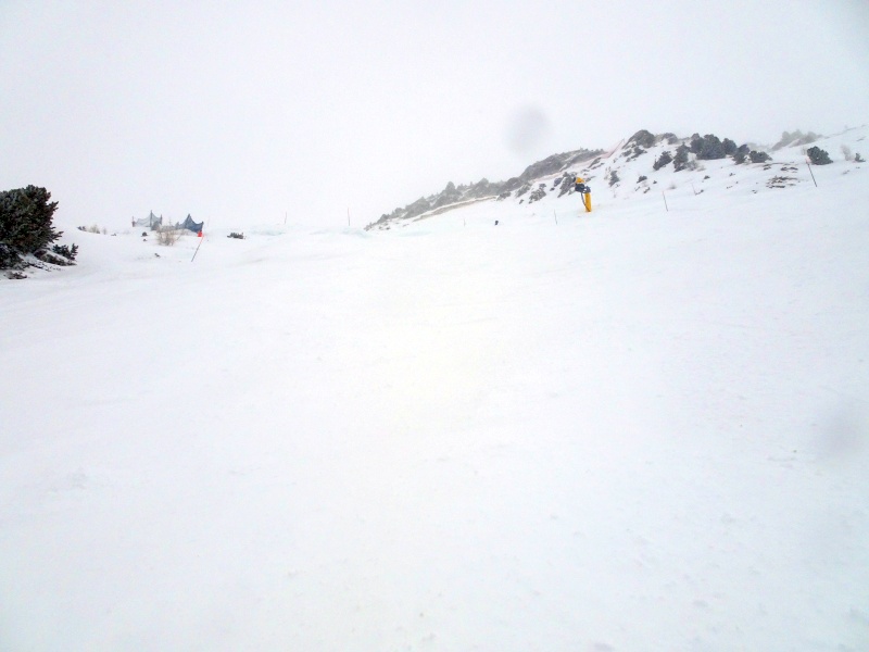 dsc08028hrecb.jpg
