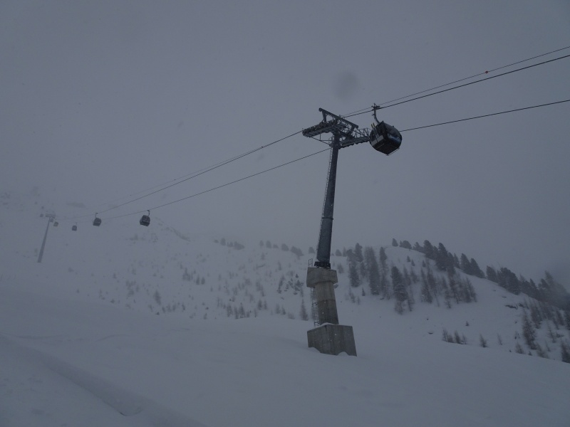 dsc080329rdwm.jpg