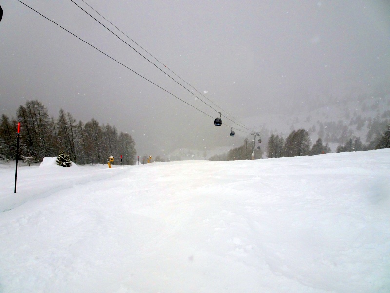 dsc08033o7c07.jpg
