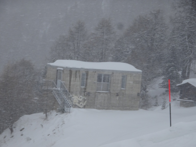 dsc08036jneu0.jpg