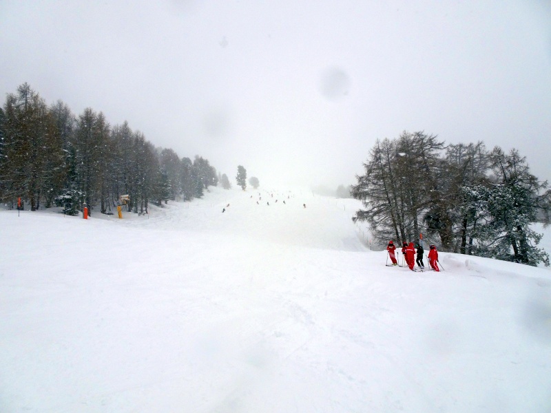 dsc081077id28.jpg