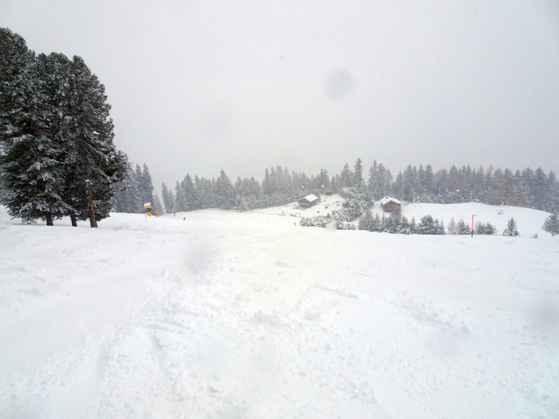 dsc08116w7e42.jpg