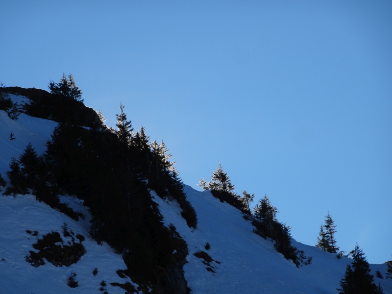 dsc08124gzj2x.jpg