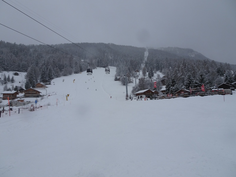 dsc08131z7er6.jpg