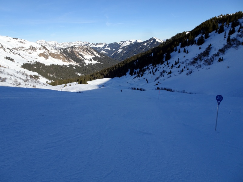 dsc08142ugjvn.jpg