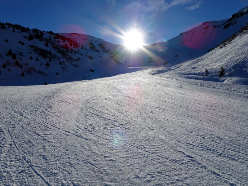 dsc081431xjpz.jpg
