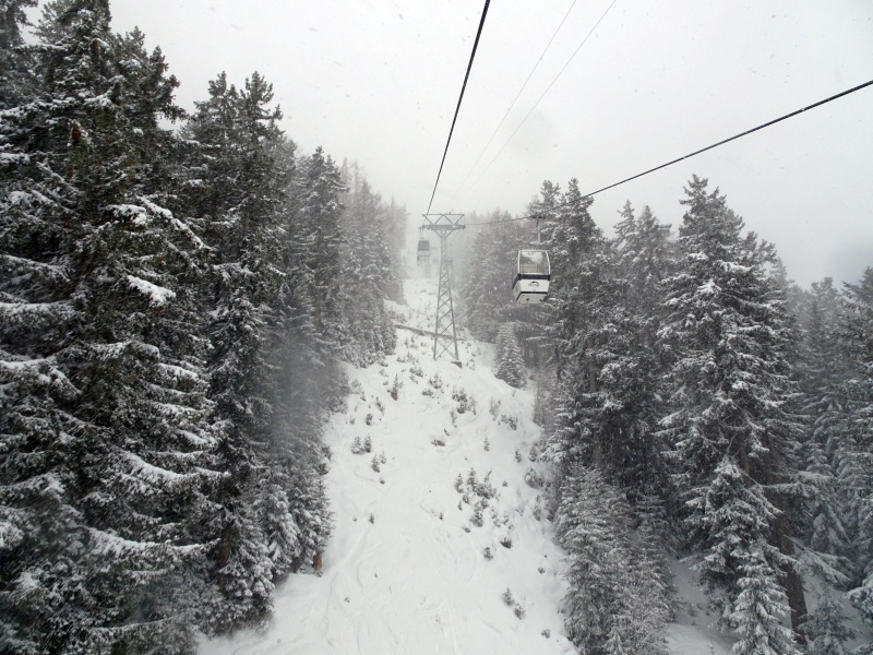 dsc08146pqfdt.jpg