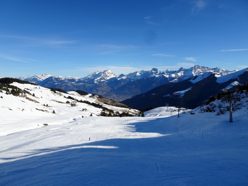 dsc08159kjkxm.jpg