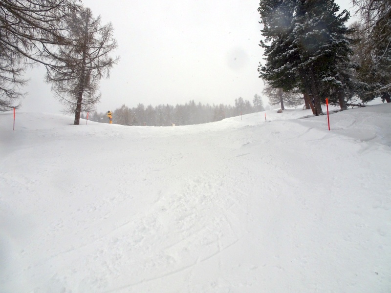dsc08196u5ckt.jpg