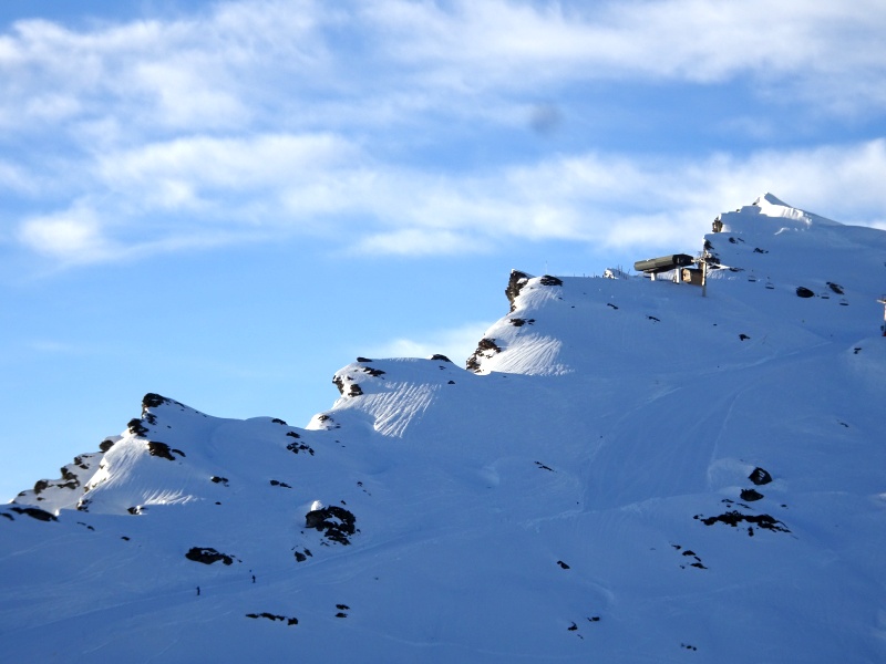 dsc082262gjsz.jpg