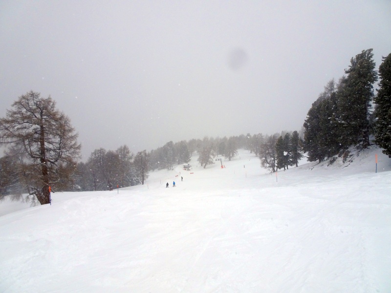 dsc08253z2el2.jpg