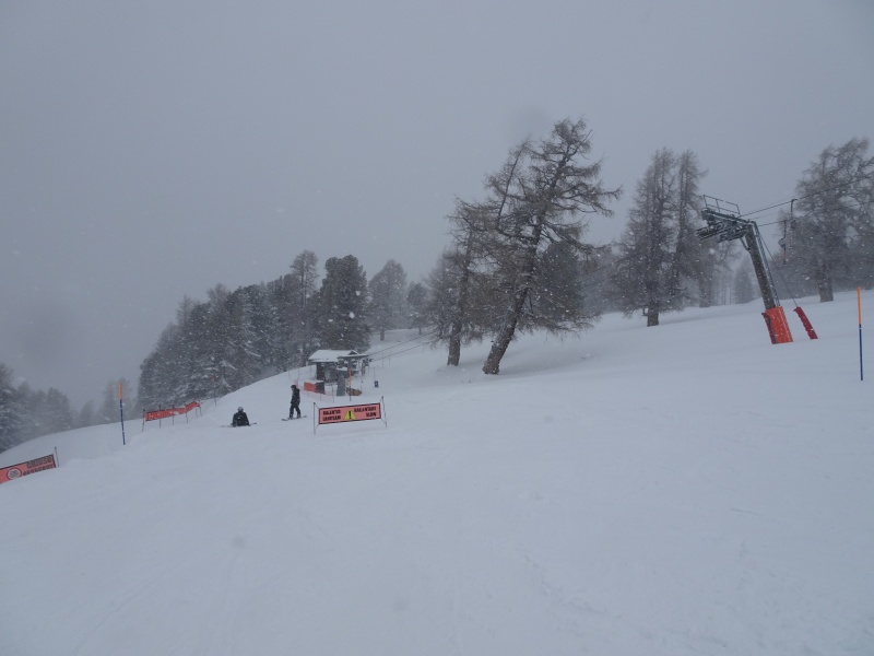 dsc0825689czx.jpg