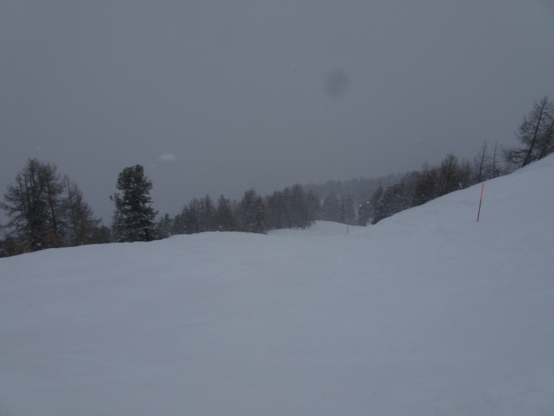 dsc08303uvc3t.jpg