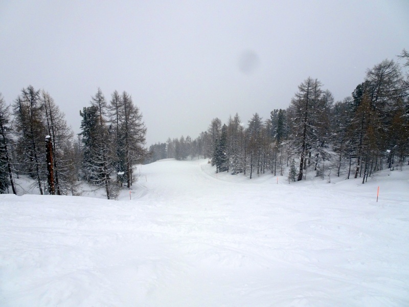 dsc08306rsire.jpg