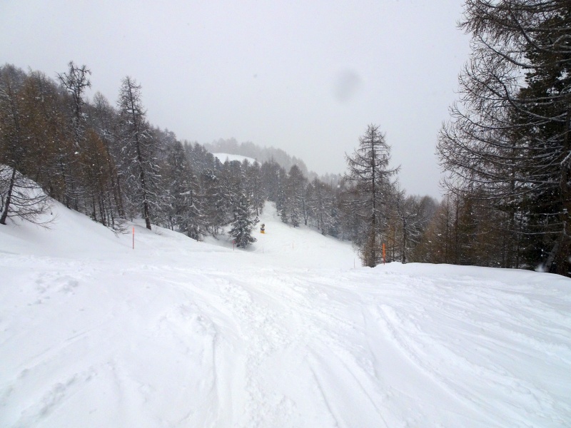 dsc08308hocpp.jpg