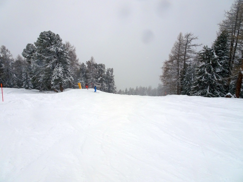 dsc08316xpdsd.jpg