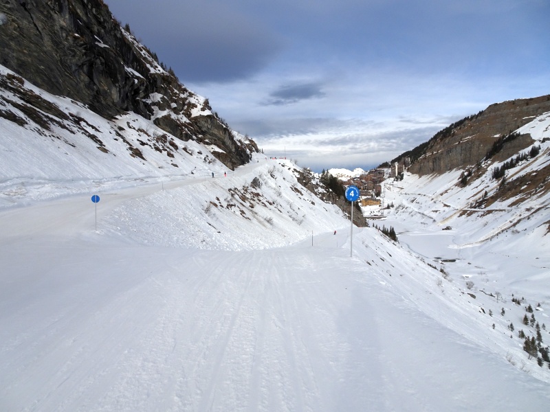 dsc08318yfk4m.jpg
