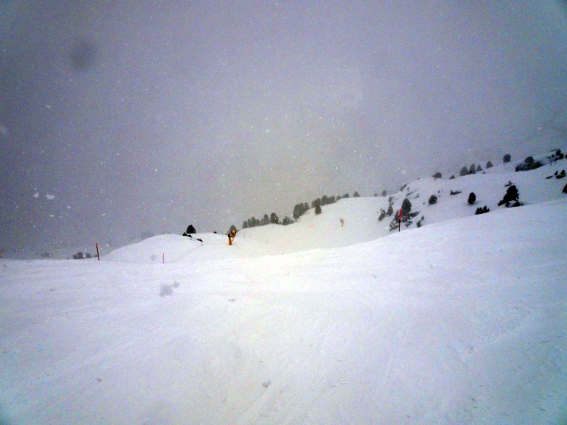 dsc08374d4fkj.jpg