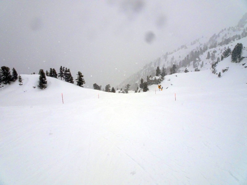 dsc08380p3ib6.jpg