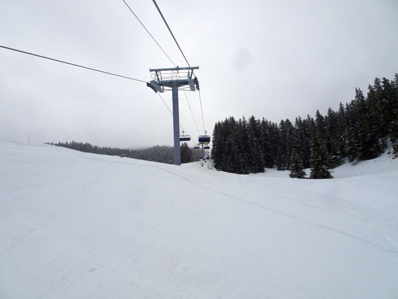 dsc08472dtew7.jpg