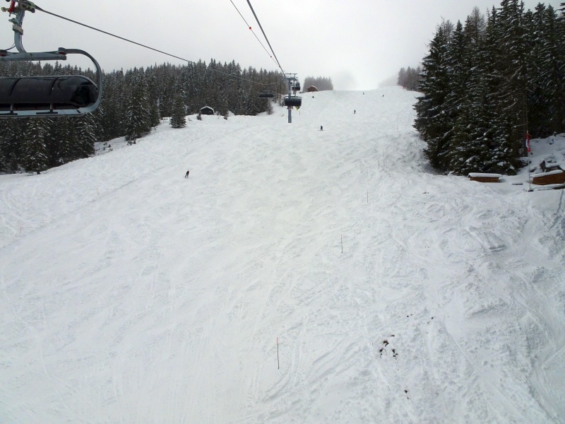 dsc08477i8cpx.jpg