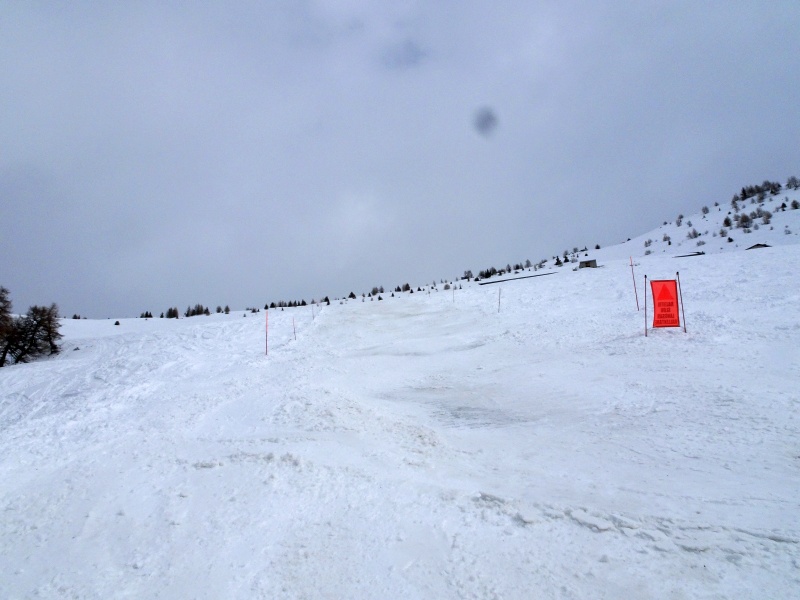 dsc08501ntisf.jpg