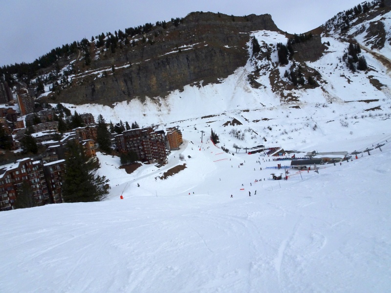 dsc0852463jbf.jpg